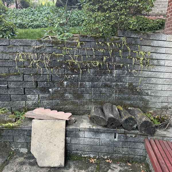 Keystone Wall IMG 1645